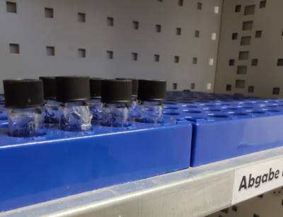 View of the MSUL sample rack