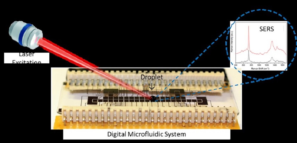Kopplung eines digitalen Mikrofluidik-Chips mit der oberflächenverstärkten Raman-Spektroskopie zur automatisierten Durchführung chemischer Synthesen / Überwachung des Reaktionsverlaufs, Abbildung: Uni Leipzig, AG Belder