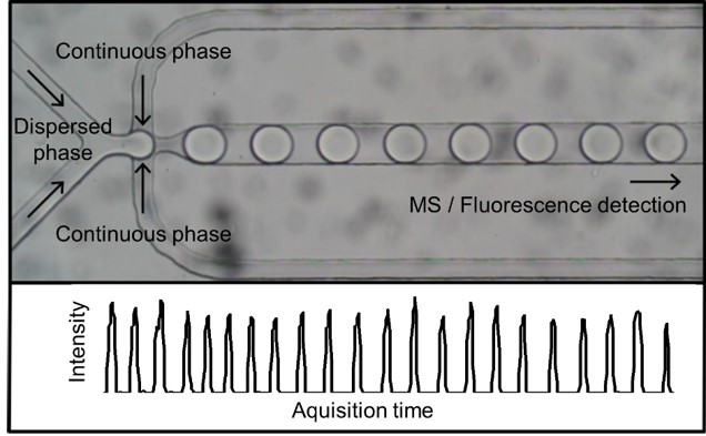 Microfluidic system for the generation of small reaction compartments on a p/n-scale and detection of the reaction products by spectroscopic/mass spectrometric detection, Figure: Uni Leipzig, AG Belder.