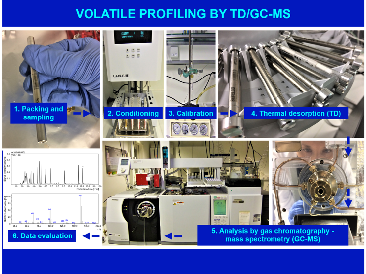 enlarge the image: Presentation of the methodology for the analysis of multicomponent samples of volatiles in complex matrices by TD/GC-MS