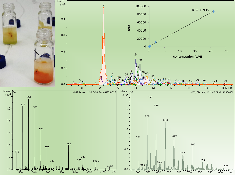 enlarge the image: Illustration for the concentration of ingredients in biological samples