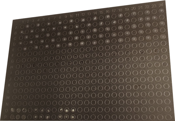 zur Vergrößerungsansicht des Bildes: Gespottete Platte für ein MALDI Massenspektrometer