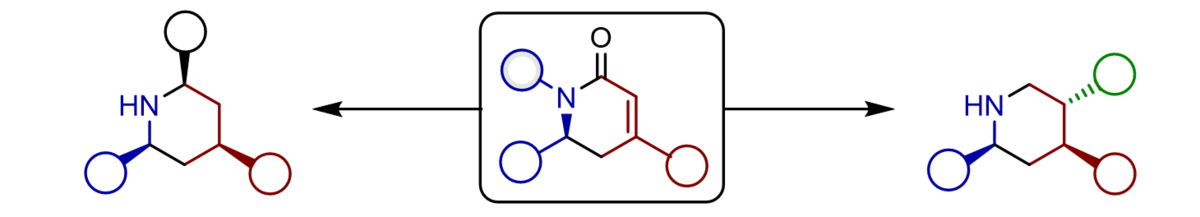zur Vergrößerungsansicht des Bildes: In der Abbildung ist die Derivatisierung der Aza-Diels-Alder Produkte zu chiralen hochfunktionalisierten Piperdine gezeigt