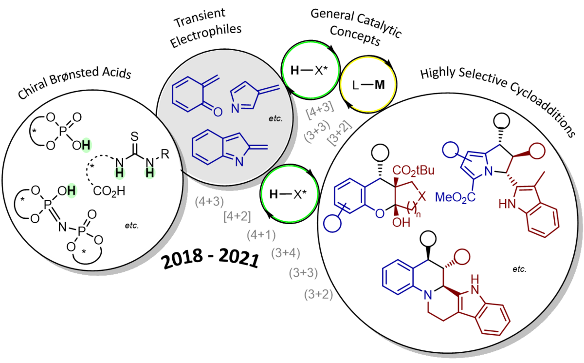 Die Abbildung zeigt eine Übersicht über die Brønsted-Säure katalysierte enantioselektive Cycloaddition von ortho-Chinonmethiden, ortho-Chinonmethidiminen sowie heterocyclischen Indol- und Pyrrol-basierten Methidanaloga der letzten Jahre