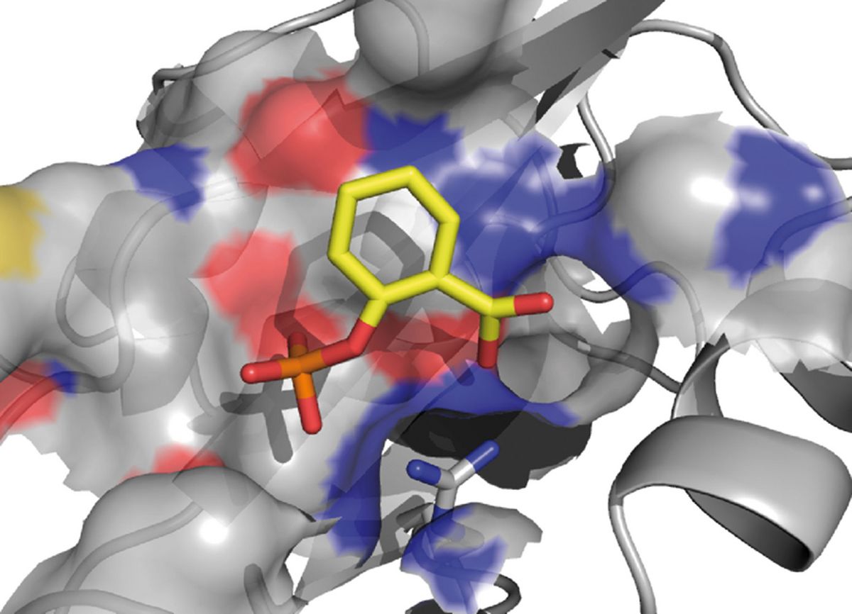 Das Bild zeigt ein Protein im Komplex mit einem Hemmstoff.