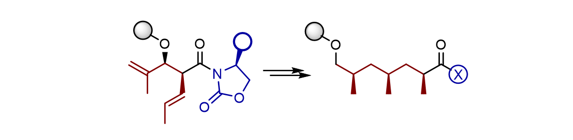 zur Vergrößerungsansicht des Bildes: Abbildung des gemeinsamen optisch aktiven Synthesebausteins, der drei Stereozentren enthält und je nach Naturstoff mehrfach eingebaut wurde. 