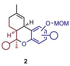 Abbildung zeigt die IDPi-katalysierte asymmetrische Synthese von cis-Tetrahydrocannabinoiden