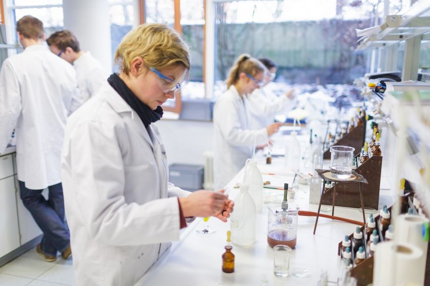 Mehrere Studierende der Chemie stehen verteilt im Labor und arbeiten mit Substanzen, Foto: Christian Hüller