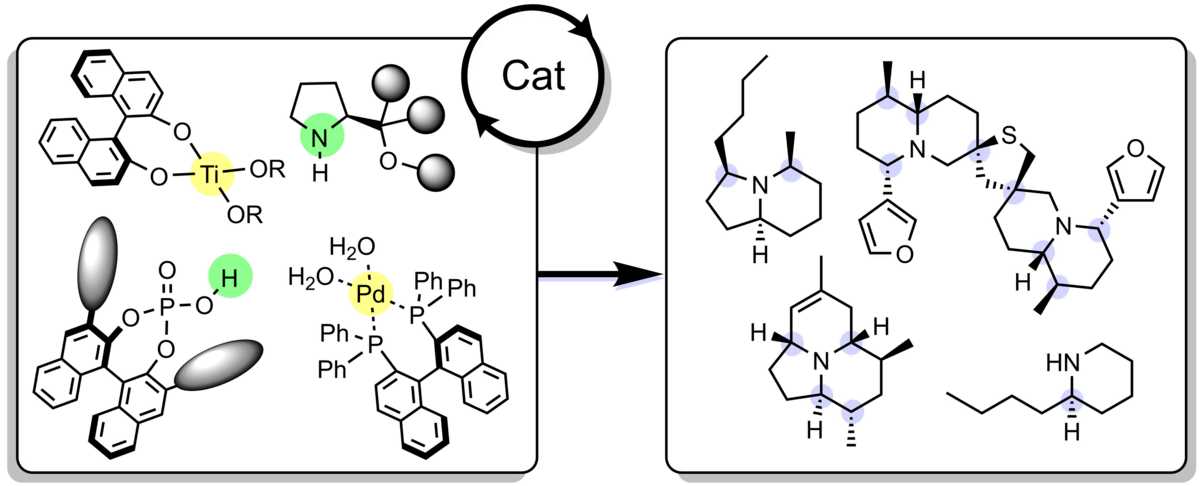In dieser Abbildung ist auf der linken Seite eine Zusammenstellung chiraler Katalystoren und auf der rechten Seite eine Auswahl an optisch-aktiven Naturstoffen gezeigt.