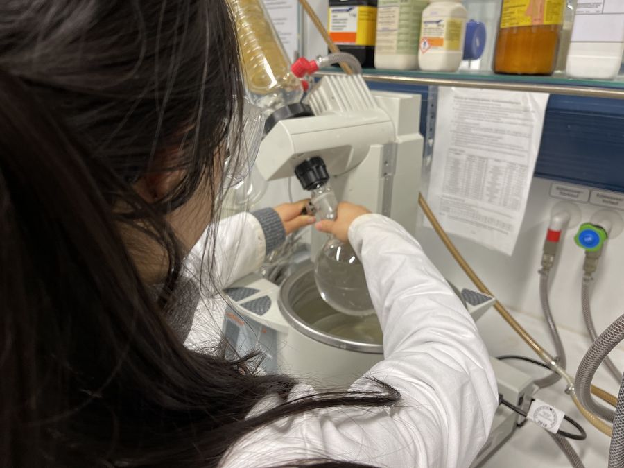 Working in an Organic Chemical Lab