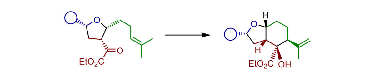 Die Abbildung zeigt zwei hochfunktionalisierten Octahydrobenzofurane (rechts abgebildet), die über eine En-Reaktion von Alkenyl-substituierten Tetrahydrofuranen (links abgebildet) zugänglich sind.