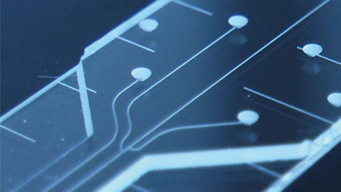 enlarge the image: Vergrößerte Aufnahme eines Mikrofluidik Chips
