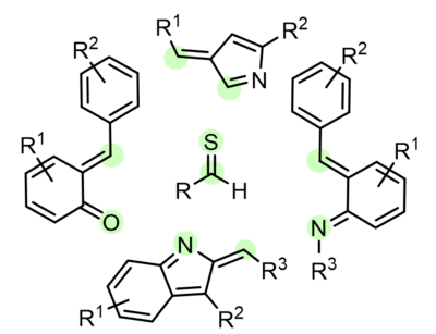 Die Abbildung zeigt das ortho-Chinonmethid, das ortho-Chinonmethidimin, das Alkylidenindol, das Alkylidenpyrrol und den Thioaldehyd als Vertreter hochreaktiver und in-situ generierter Intermediate, die erfolgreich in stereoselektiven Reaktionen angewendet wurden. 