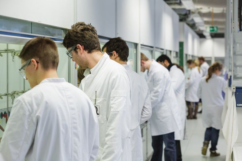 Die Studierenden im weißen Kittel arbeiten an ihren Arbeitsplätzen im Labor, Foto: Christian Hüller