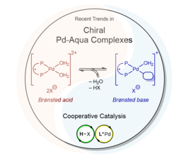 The figure shows chiral palladium aqua complexes as cooperative Brønsted acid–base catalysts.