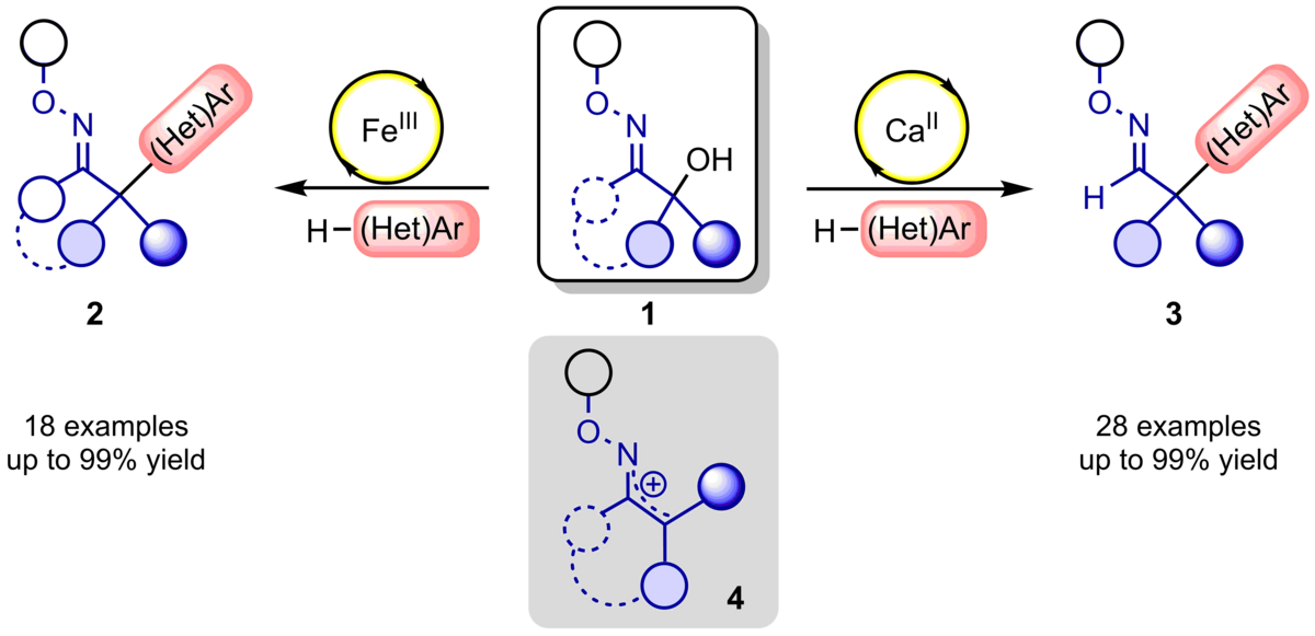 Die Abbildung zeigt die Lewis Säure-katalysierte Friedel-Crafts Reaktion zur Synthese von divers substituierbaren α-quartären Oximethern über 1-Azaallylkationen.