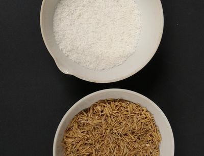 Reisspelzen und Silica.