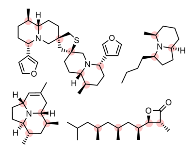 Die Abbildung zeigt eine kleine Auswahl von vier der im AK Prof. C. Schneider synthetisierten optisch und biologisch aktiven Naturstoffe: Monomorine, Alkaloid (-)-205, Thiobinupharidin, Vittatalactone.