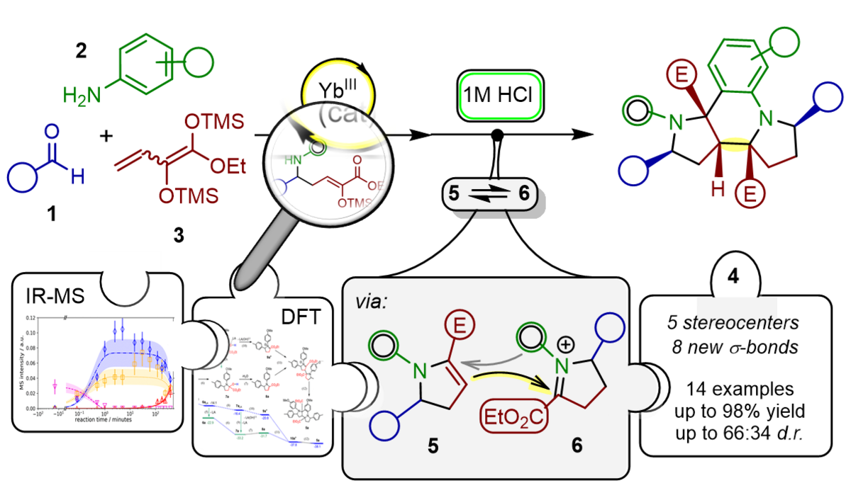 Abbildung zeigt die Modulare Synthese von Dipyrroloochinolinen, bei der 5 Stereozentren und 8 neue sigma-Bindungen aufgebaut wurden ausgehend von der Reaktion von Silyldienolaten mit Aldehyden und Aminen. Die Abbildung zeigt zu dem Eindrücke der mit IR-MS und DFT-Studien gesammelten Hinweise zum Reaktionsmechanismus.