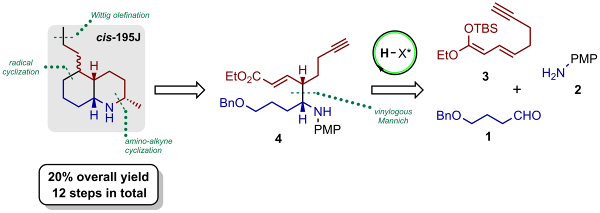 Abbildung zeigt eine kurze Synthese zum Alkaloid cis-195J über eine asymmetrische BINOL-Phosphorsäure-katalysierte vinyloge Mannich-Reaktion, Amin-Alkin Cyclisierung und Radikalische Cyclisierung.