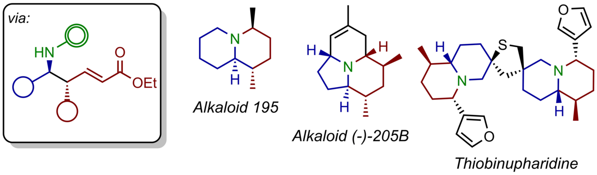 zur Vergrößerungsansicht des Bildes: Die Abbildung zeigt verschiedene Alkaloide: (R)-Coniine, Monomorine, Alkaloid 195, Alkaloid (-)-205B und das Thiobinupharidin, deren Synthese über den zentral abgebildeten optisch-aktiven Baustein erfolgreich durchgeführt bzw. geplant ist