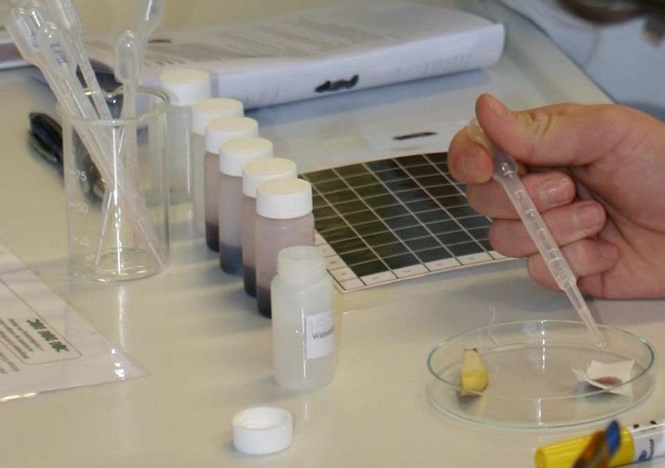 Schülerlabor (Bild von künstlicher Blutgruppenbestimmung), Foto: Institut für Didaktik der Chemie