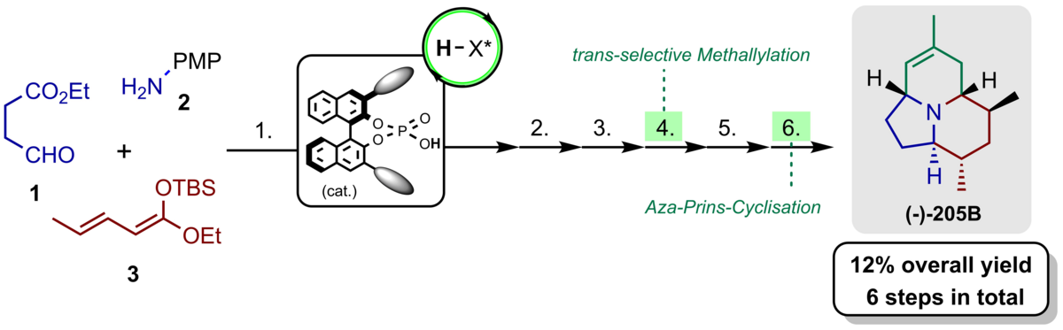 enlarge the image: The image shows the short synthesis of alkaloid (−)-205B utilizing the stereoselective vinylogous Mannich reaction of aldehyde, amine and silyl dienolate, followed by trans-selective methallylation, and aza-Prins cyclization steps.