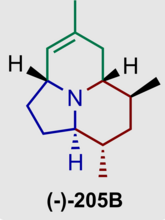 Abbildung zeigt die eine kurze Synthese zum Alkaloid (-)-205B über eine asymmetrische BINOL-Phosphorsäure-katalysierte vinyloge Mannich-Reaktion, trans-selektive Methallylierung und Aza-Prins-Cyclisierung ausgehend von Aldehyd, Amin und Silyldienolat