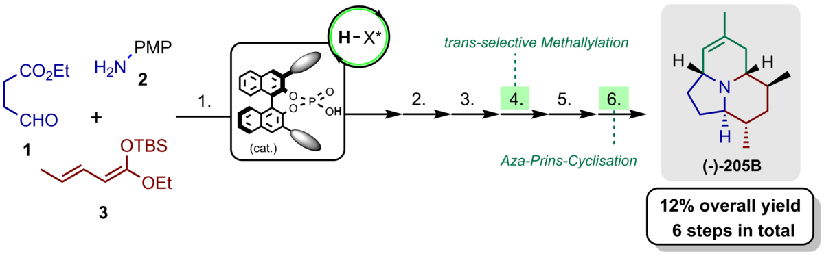 zur Vergrößerungsansicht des Bildes: Abbildung zeigt die eine kurze Synthese zum Alkaloid (-)-205B über eine asymmetrische BINOL-Phosphorsäure-katalysierte vinyloge Mannich-Reaktion, trans-selektive Methallylierung und Aza-Prins-Cyclisierung ausgehend von Aldehyd, Amin und Silyldienolat