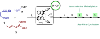 Abbildung zeigt die eine kurze Synthese zum Alkaloid (-)-205B über eine asymmetrische BINOL-Phosphorsäure-katalysierte vinyloge Mannich-Reaktion, trans-selektive Methallylierung und Aza-Prins-Cyclisierung ausgehend von Aldehyd, Amin und Silyldienolat